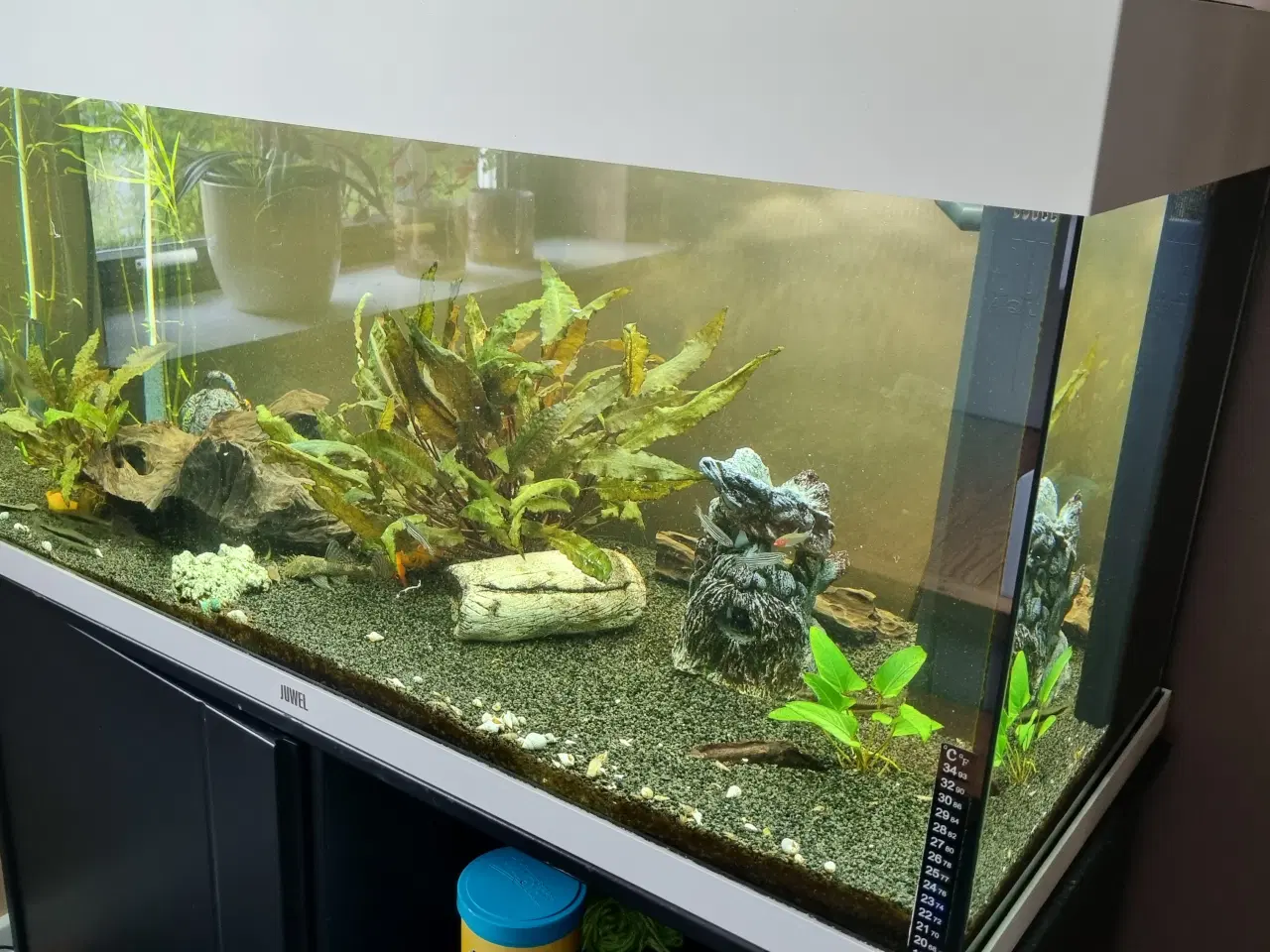 Billede 3 - Juwel akvarie, med underskab, 160L