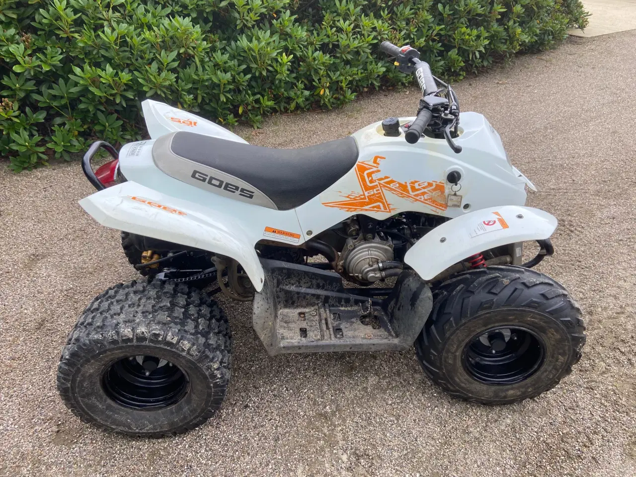 Billede 1 - ATV  GOES 100 cc