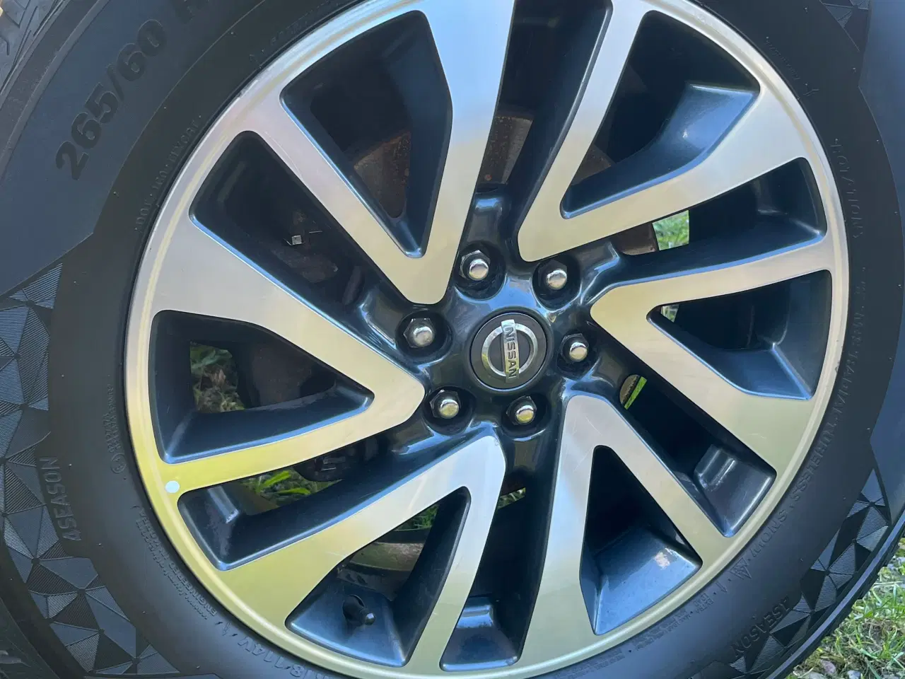 Billede 8 - Nissan Navara (2016)