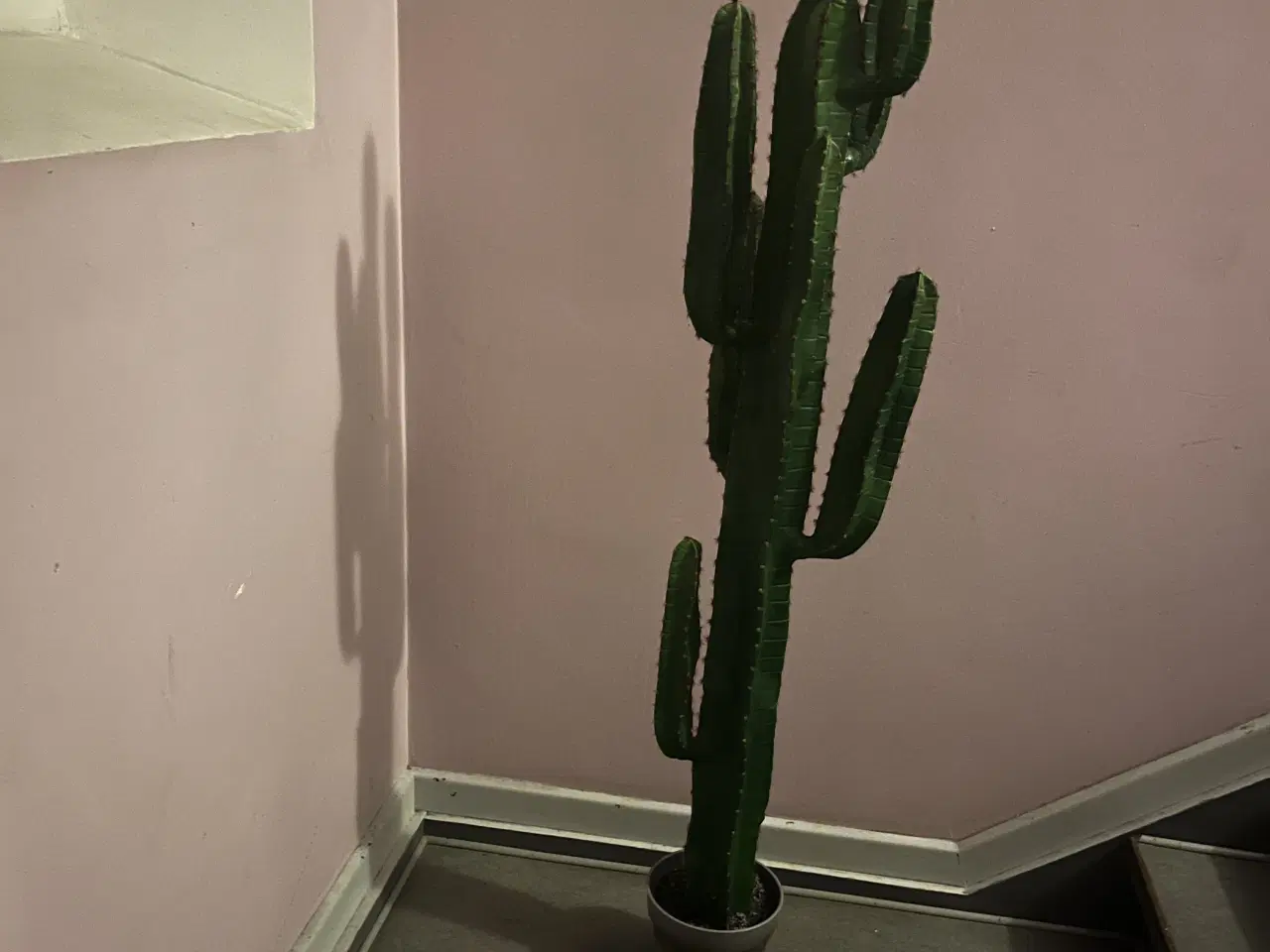 Billede 2 - Kunstig euphorbia kaktus