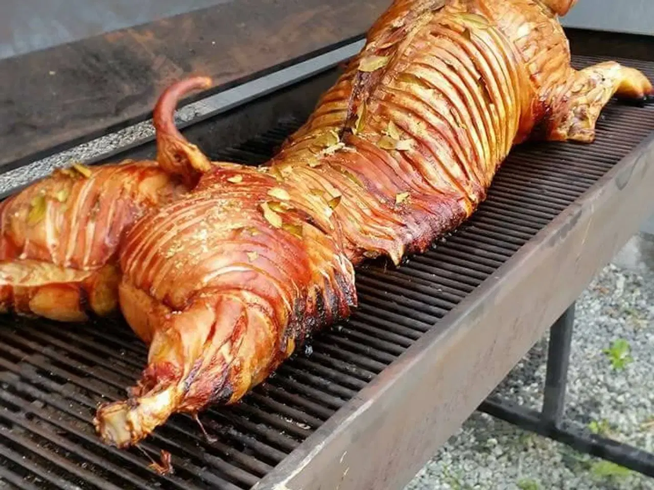 Billede 3 - Paella,Tapas, Helstegt Pattegris