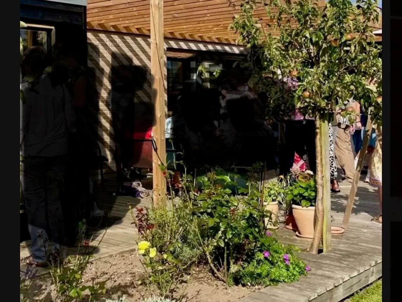 Billede 2 - Pergola i termowood med tag
