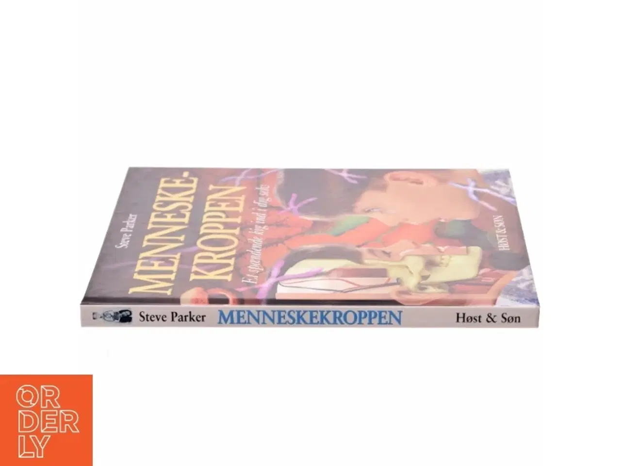 Billede 2 - Menneskekroppen : et spændende kig ind i dig selv! af Steve Parker (Bog)