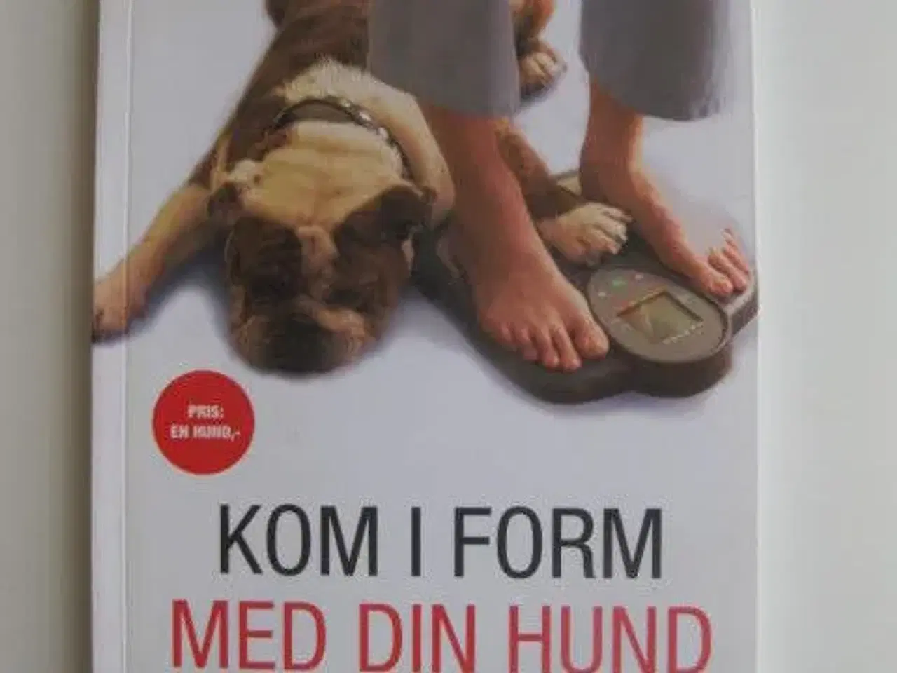 Billede 1 - Kom i form med din hund