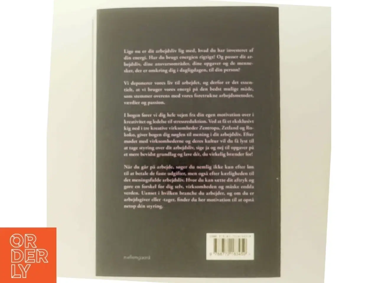 Billede 3 - Det giver mening at elske sit arbejdsliv af Heidi Philipsen (f. 1971-03-18) (Bog)