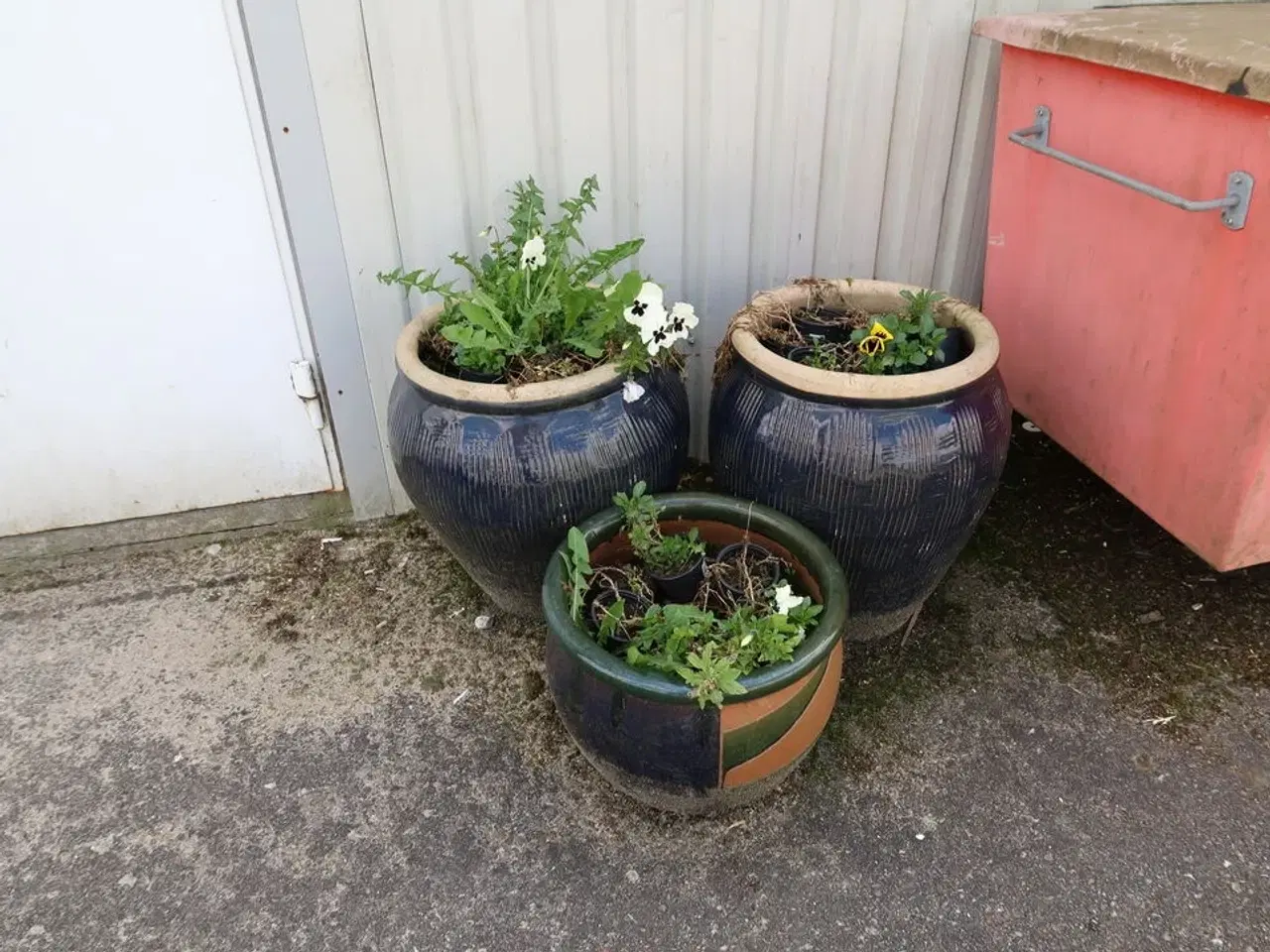 Billede 2 - 3 stk. krukker med planter