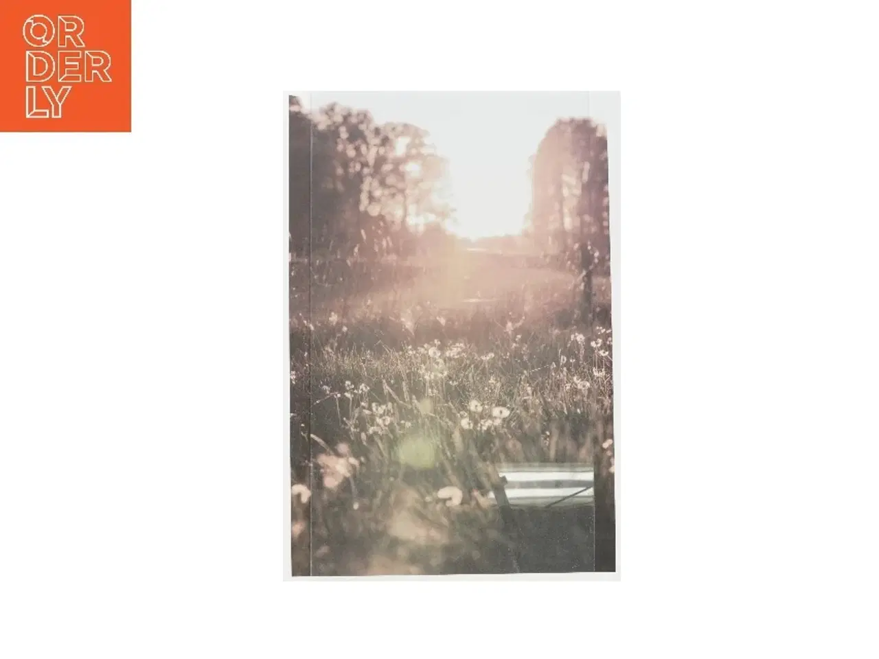 Billede 5 - Landskabsplakater fra Desenio (str. 70x50 cm, 4 styk cm)