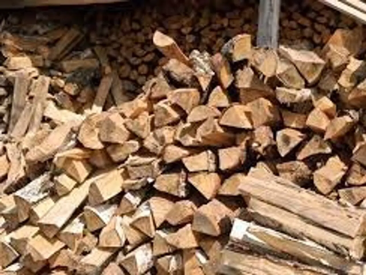 Billede 1 - Blandet løvtræ tørt ca 30 cm 700 kr. 