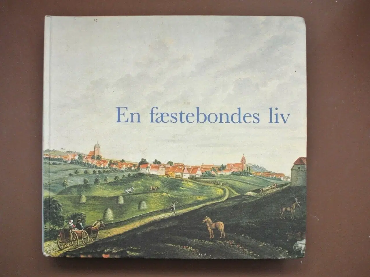 Billede 1 - en fæstebondes liv. erindringer og optegnelser af 