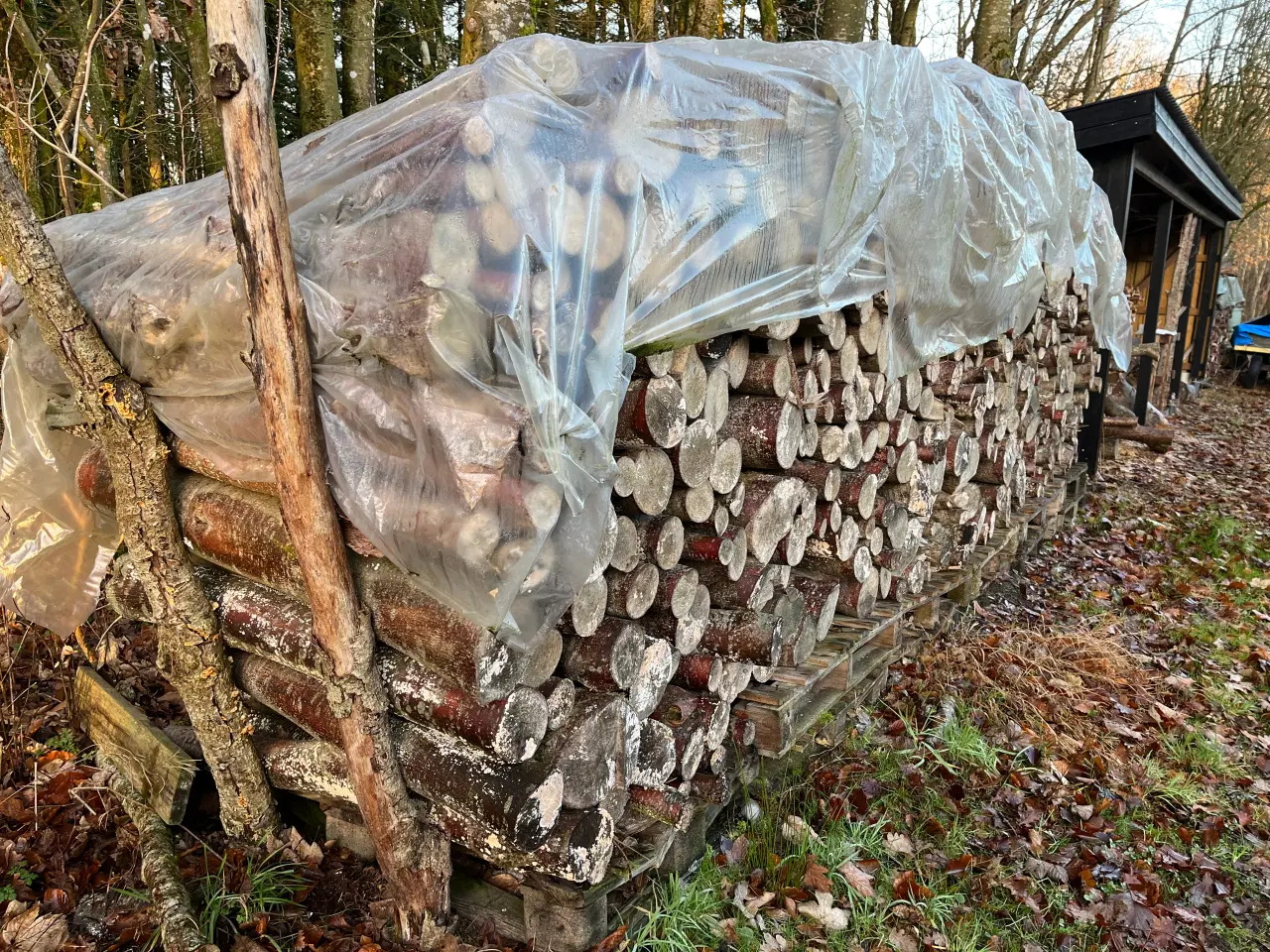 Billede 2 - brænde meterstykker