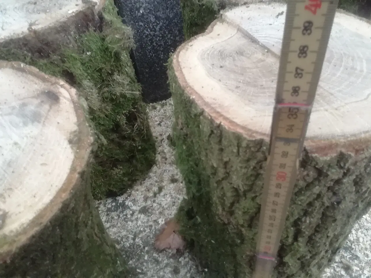 Billede 3 - Egetræ  trædrejning