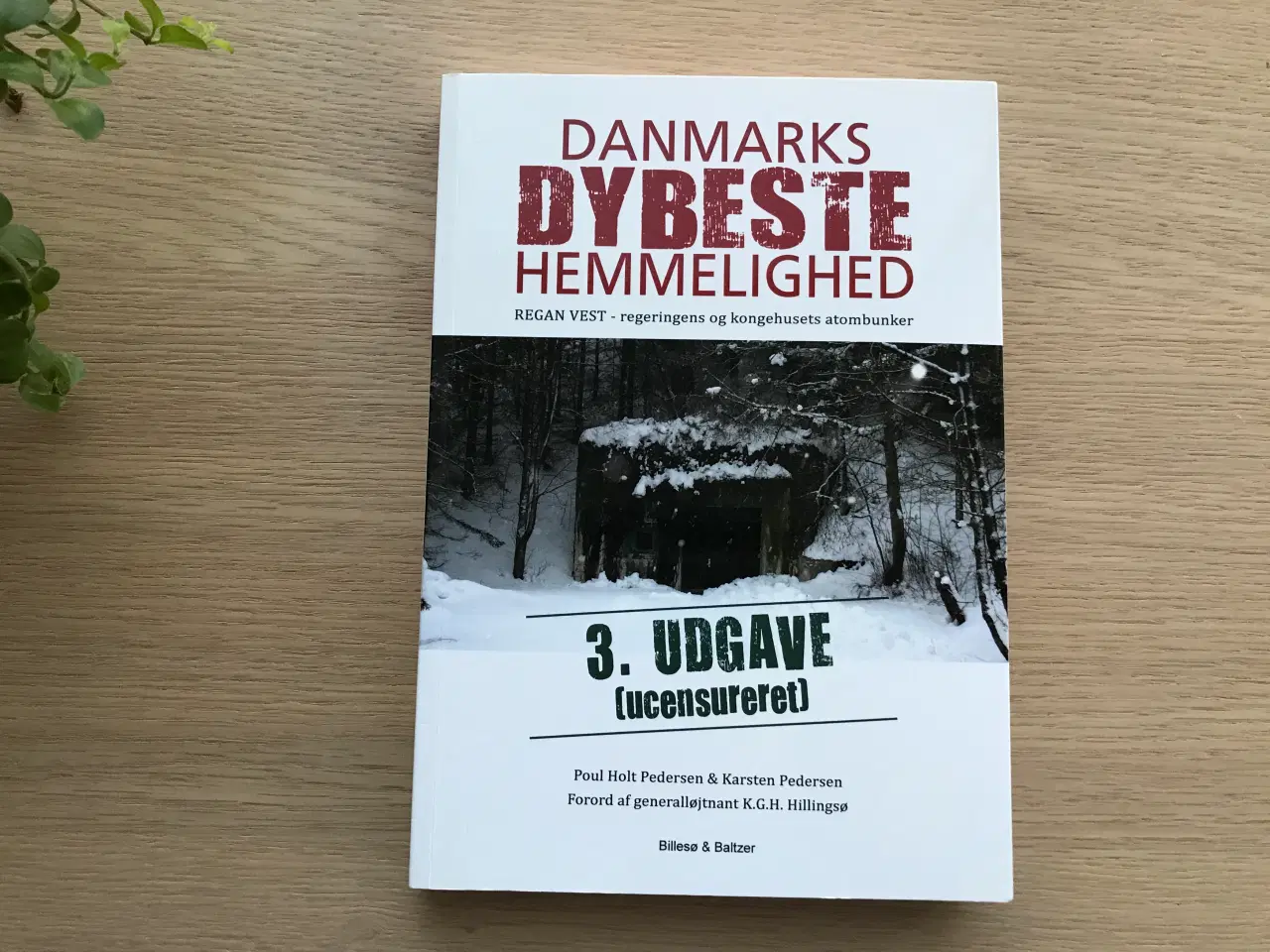 Billede 1 - Danmarks Dybeste Hemmelighed - REGAN VEST