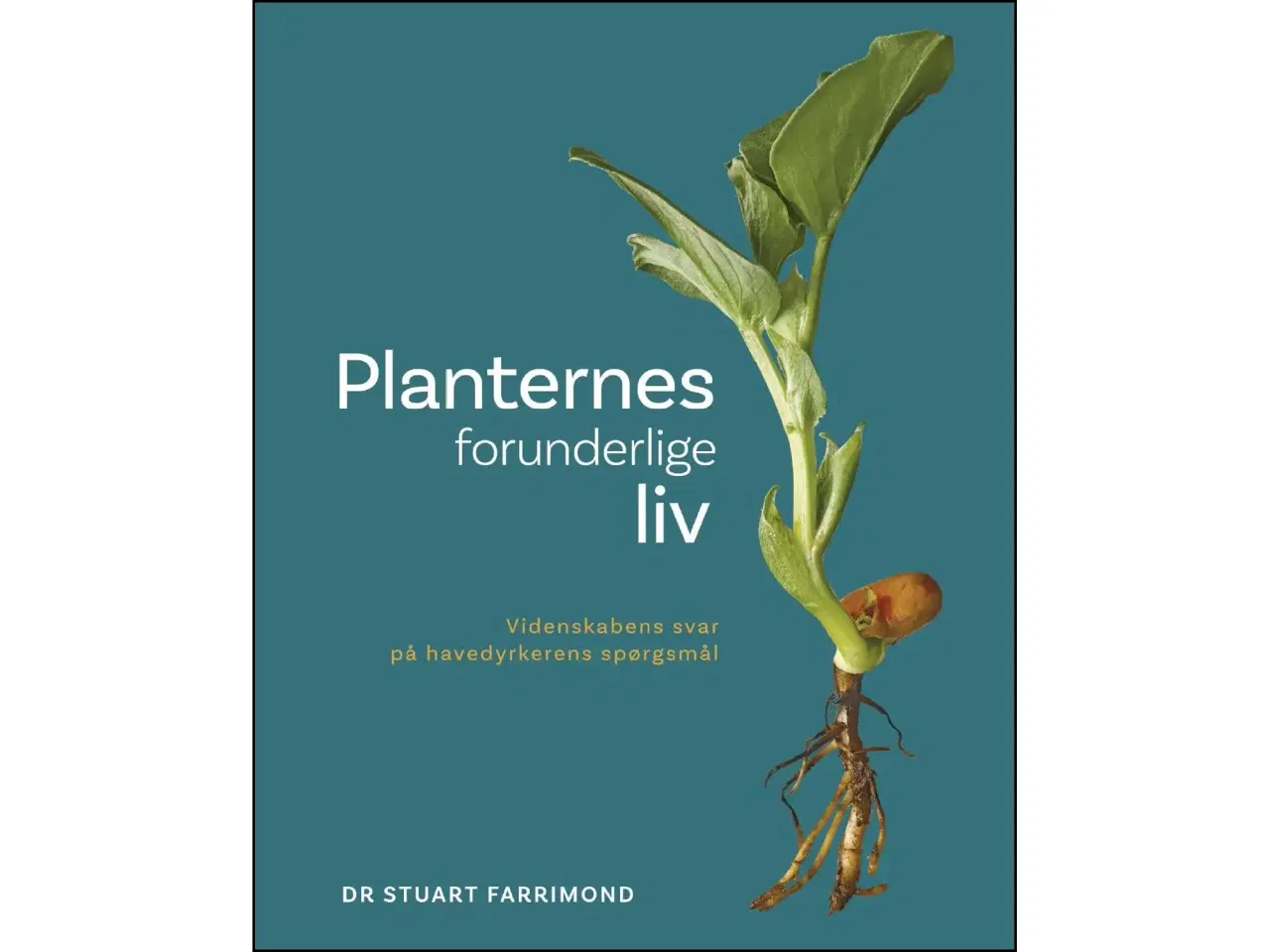 Billede 1 - Planternes forunderlige liv