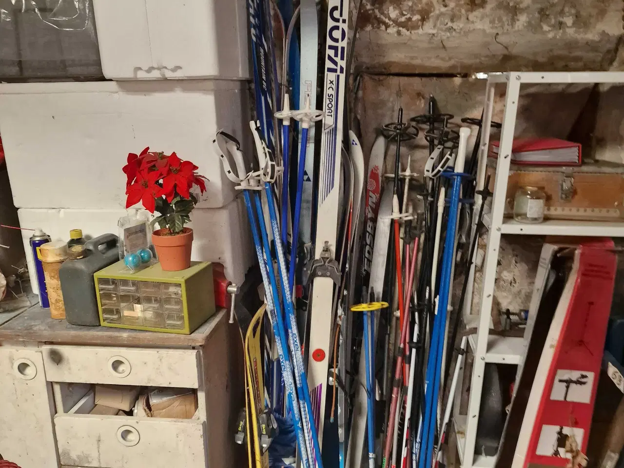 Billede 1 - Langrendsski