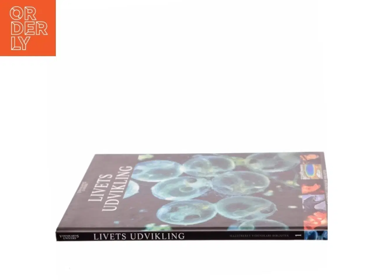 Billede 2 - Livets udvikling (Bog)