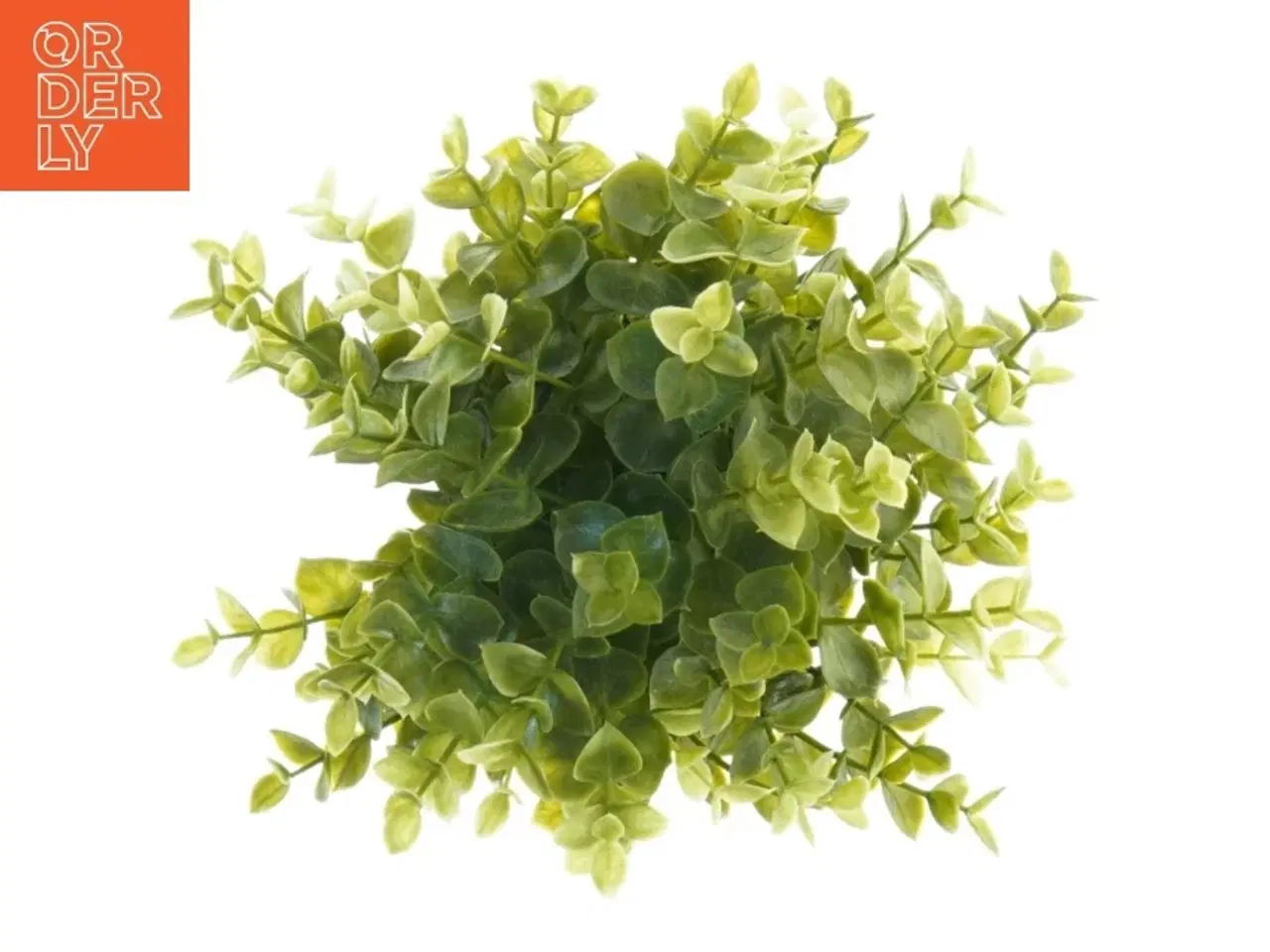 Billede 3 - Kunstig plante i potte (str. 21 x, 15 cm)