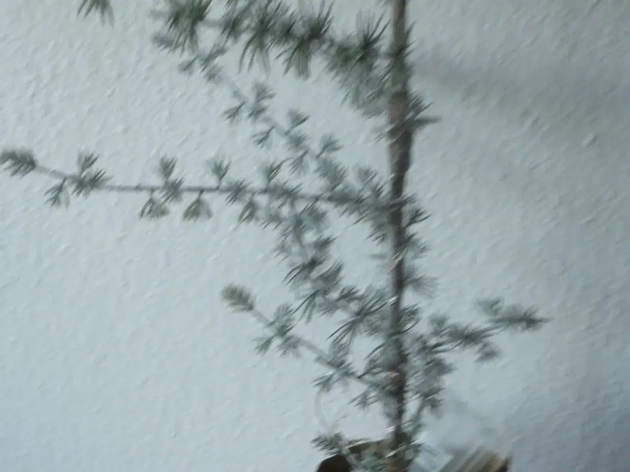 Billede 2 - Kunstigt træ, cedertræ med lys=225,-kr.
