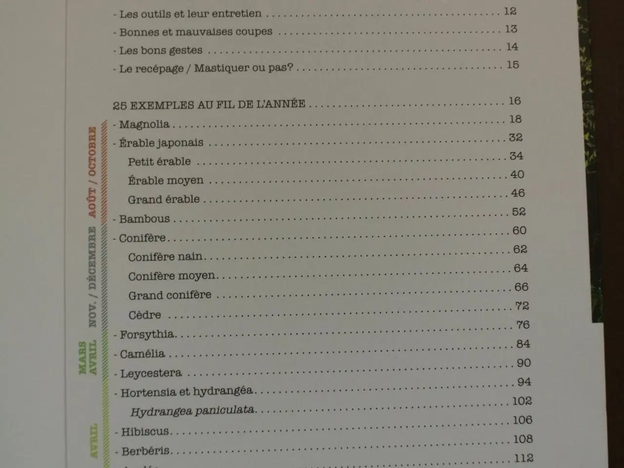 Billede 2 - la taille de transparence et autres tailles simple