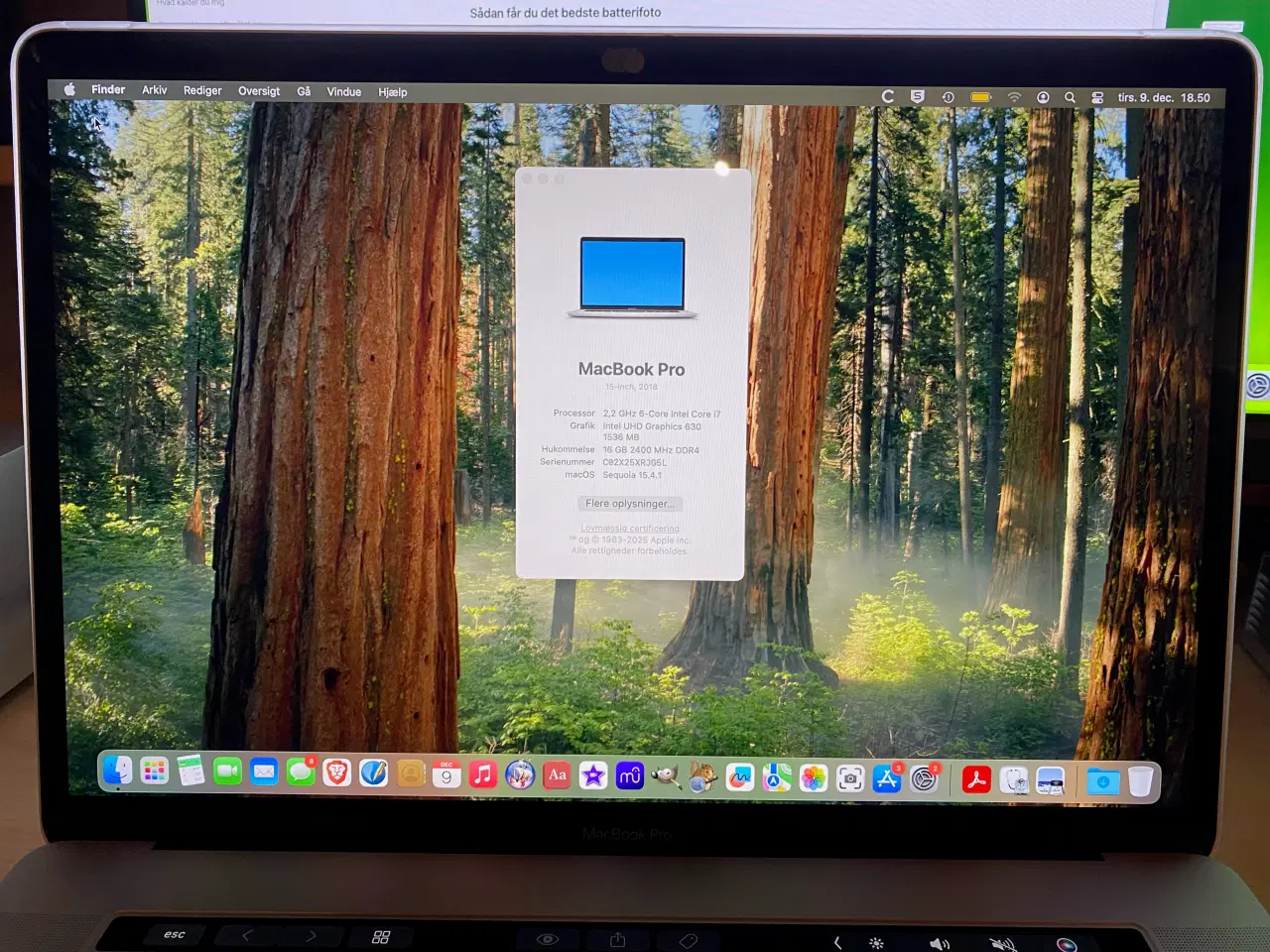 Billede 3 - MacBook Pro 15" (2018), 16 GB RAM, 256 GB SSD HD