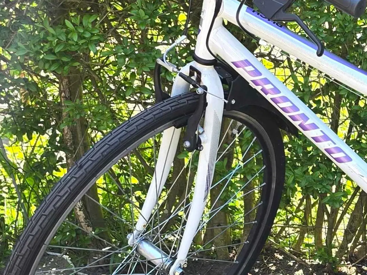 Billede 2 - Dame citybike str 52 puch pronto 