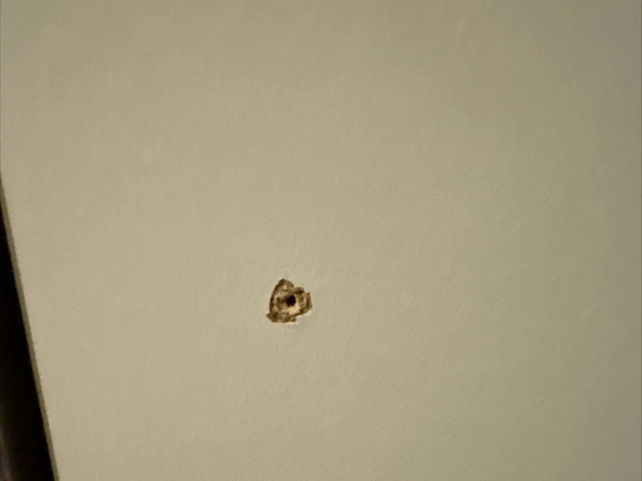 Billede 6 - Aubo skab i valnødsfolie med hylder. Nyt.