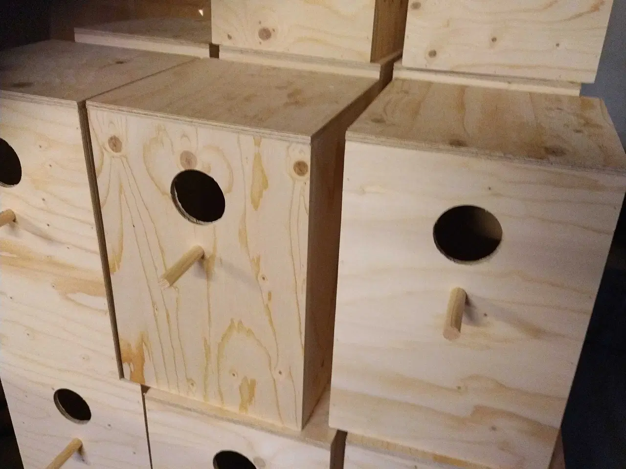 Billede 2 - Redekasser græs parakitter