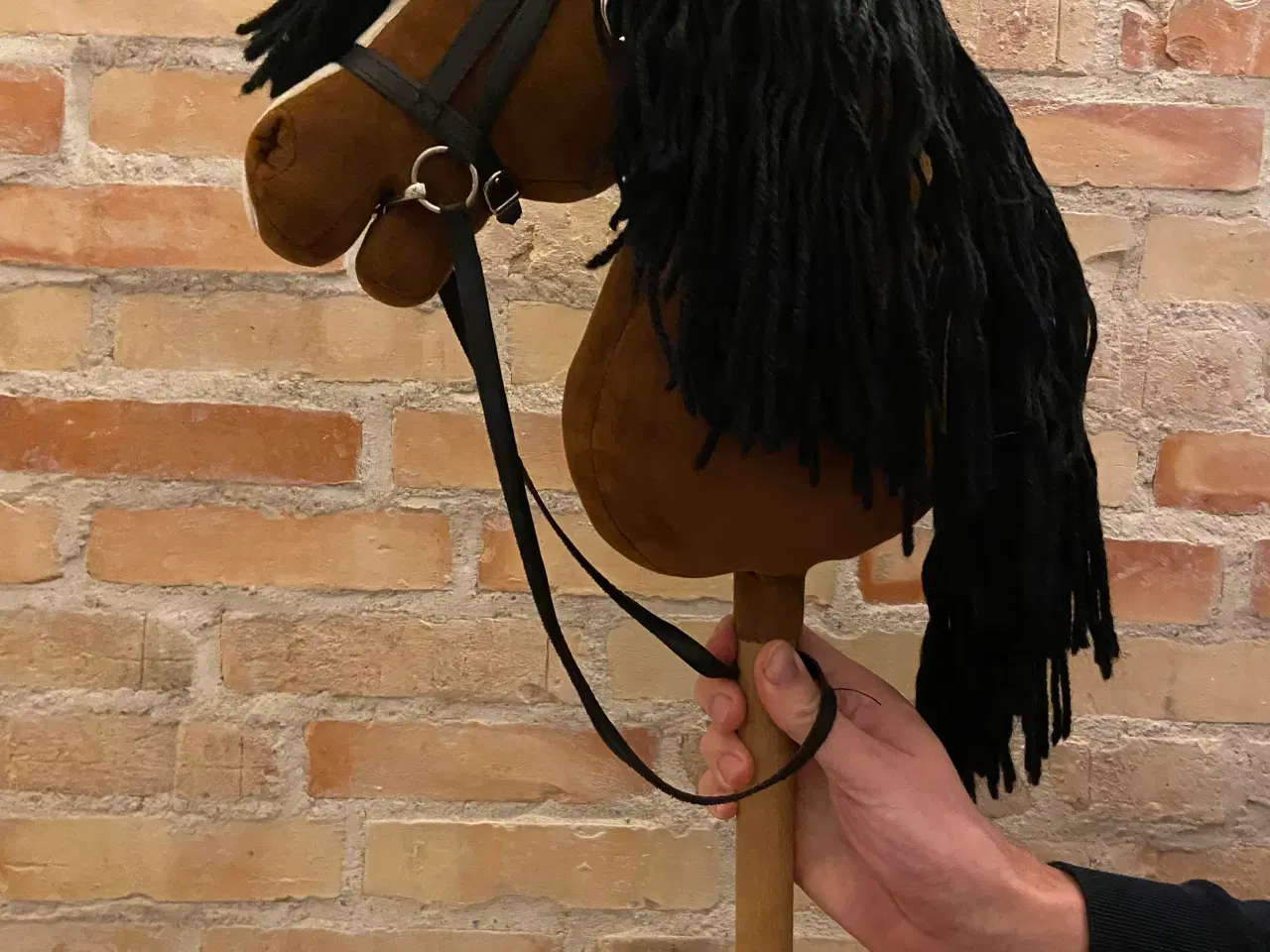 Billede 1 - Kæphest cheval Roi