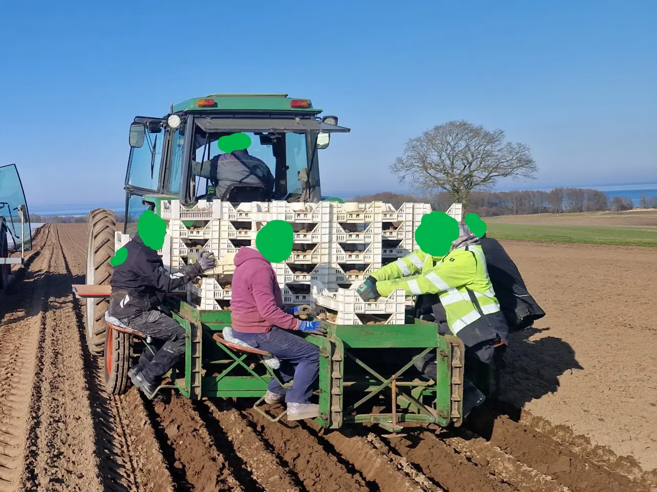 Billede 1 - Ve-ma 4 rk kartoffellægger