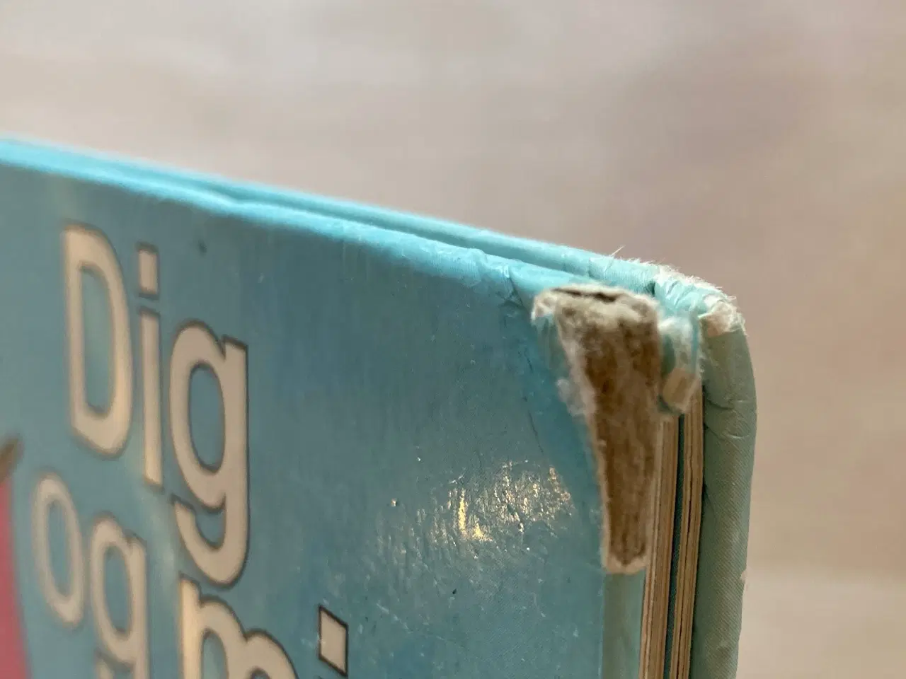 Billede 5 - “Dig og mig og vi to” - børnerim og sange