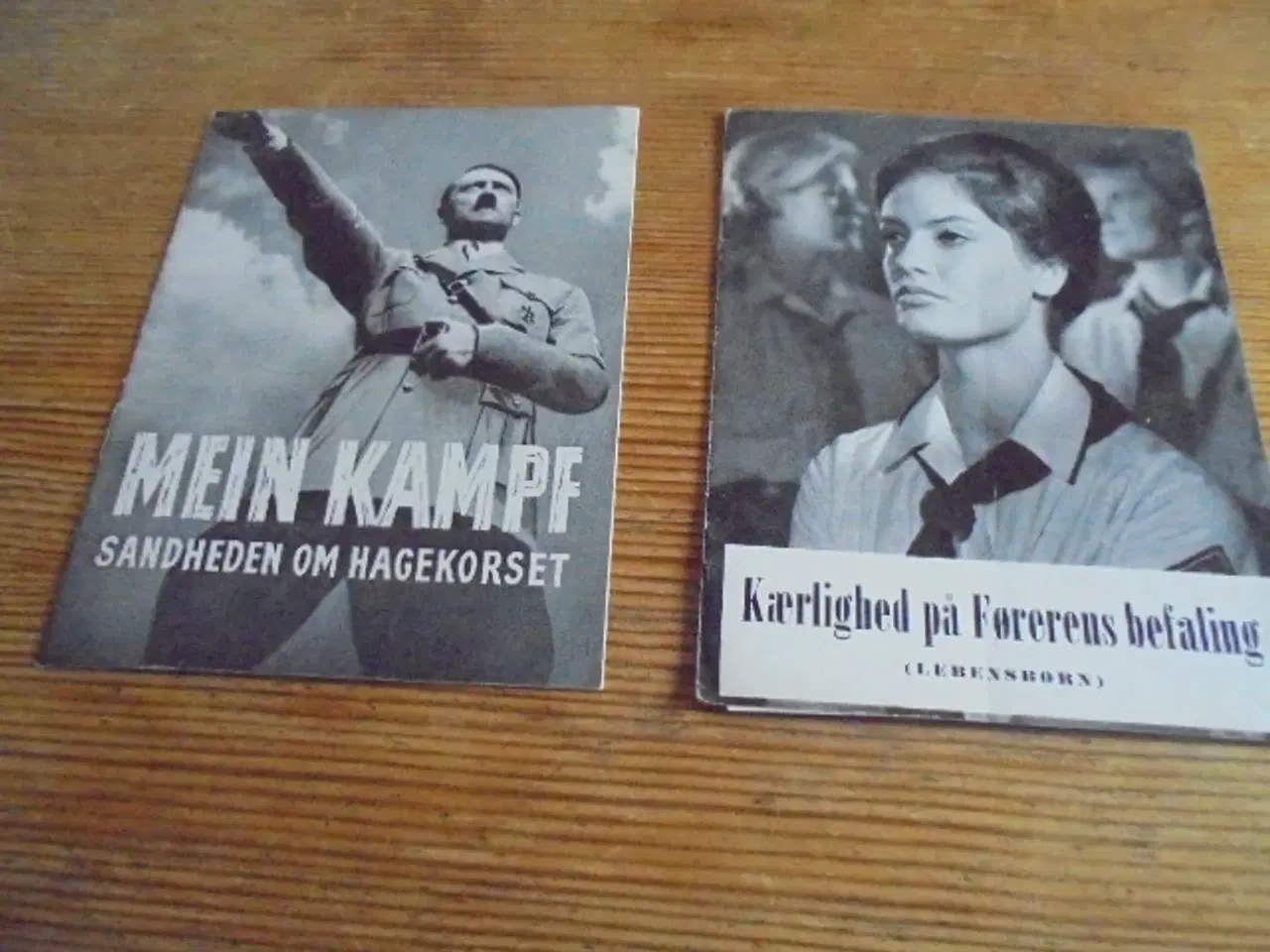 Billede 1 - Filmprogrammer: ”Lebenshorn” og ”Mein Kampf”  