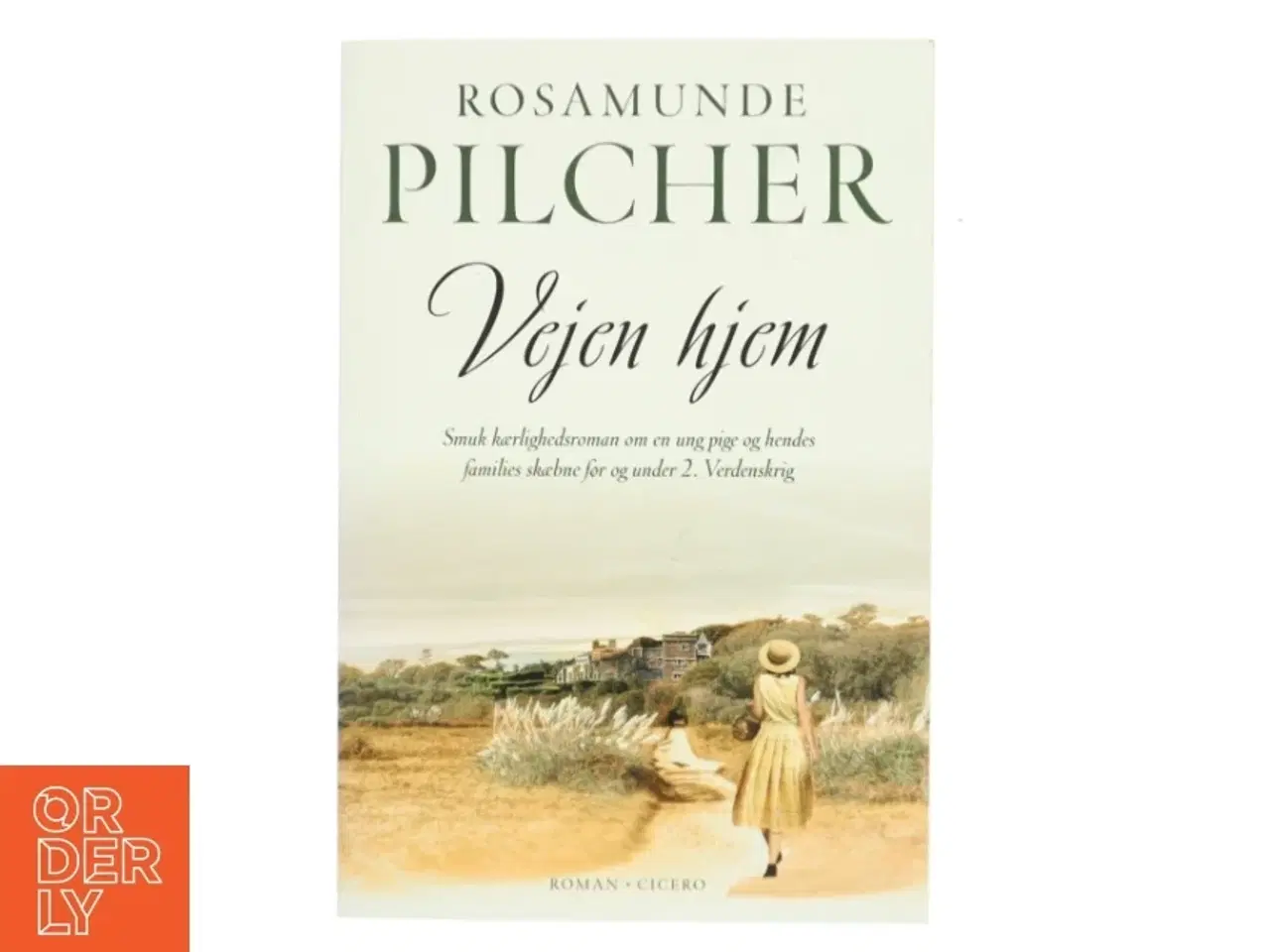 Billede 1 - Vejen hjem af Rosamunde Pilcher (Bog)