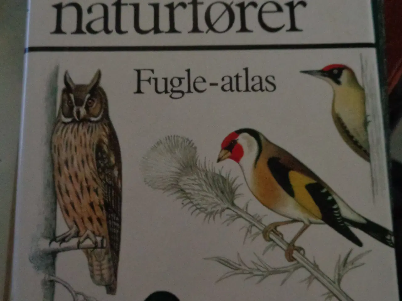 Billede 1 - Fugle-atlas