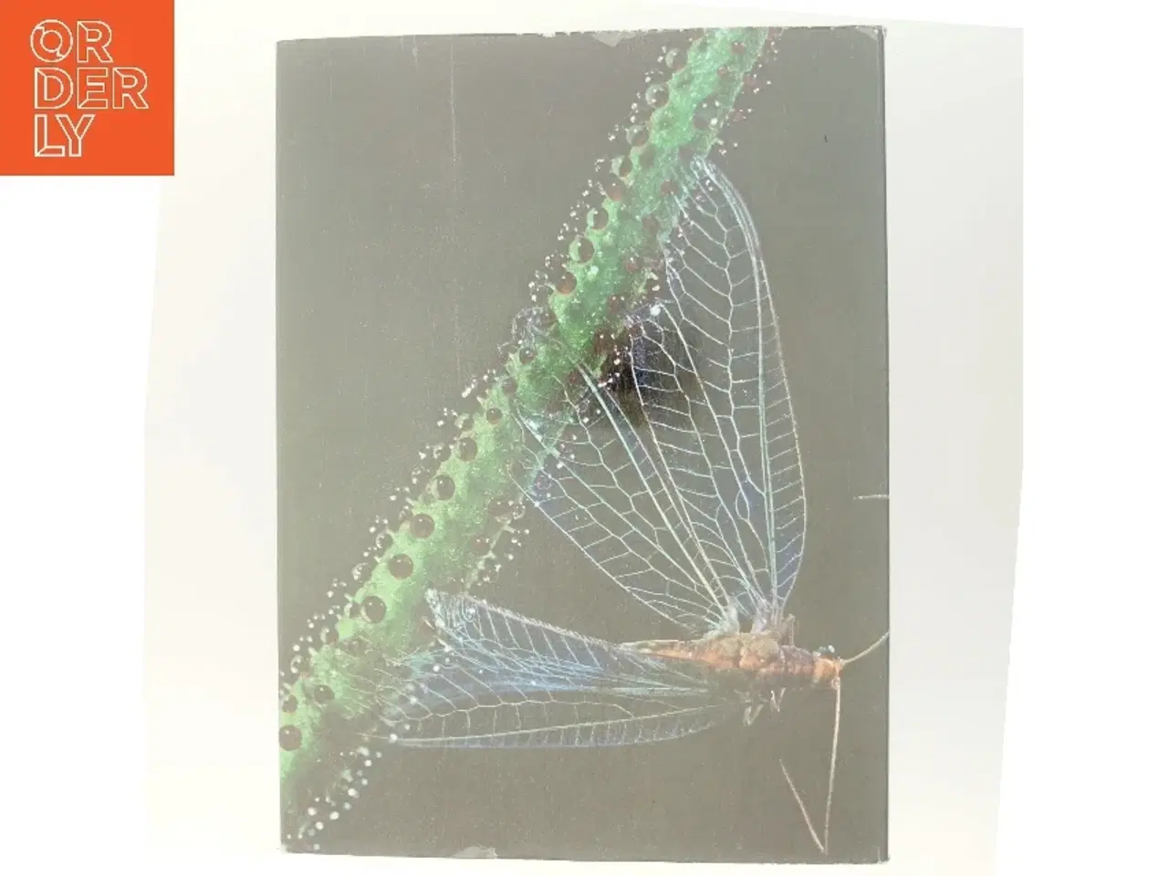 Billede 3 - Verdens store mysterier (Bog)