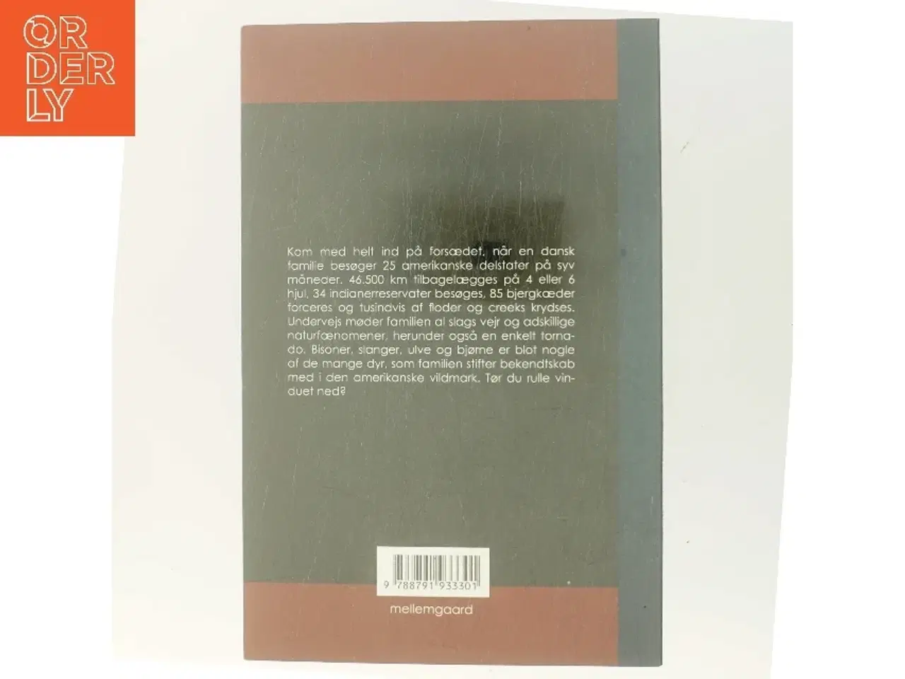 Billede 3 - Med bisoner og tornadoer i horisonten : tips, tricks og gode historier fra en dansk families road trip i USA (Bog)