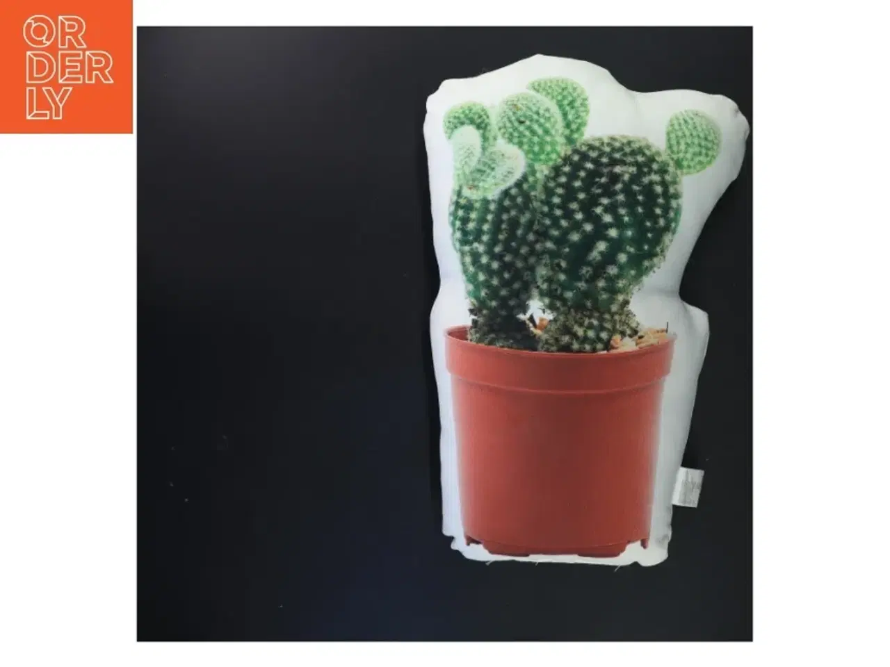 Billede 1 - Pude med kaktusmotiv (str. 32x20x5 cm)