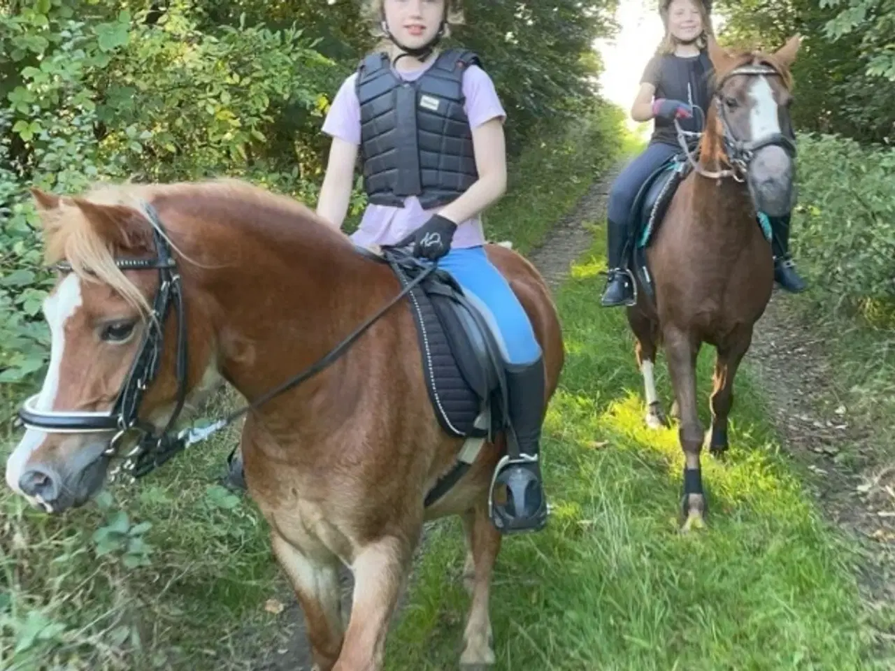 Billede 3 - Skøn kat. 3 pony søger nyt hjem