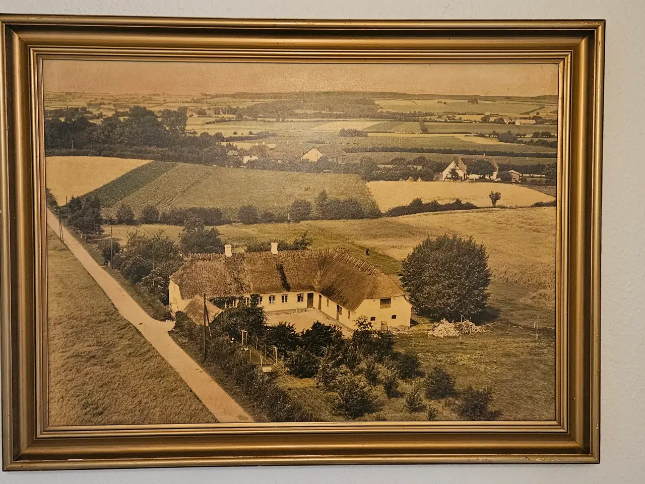 Billede 1 - Fotografi m ramme 60x80cm