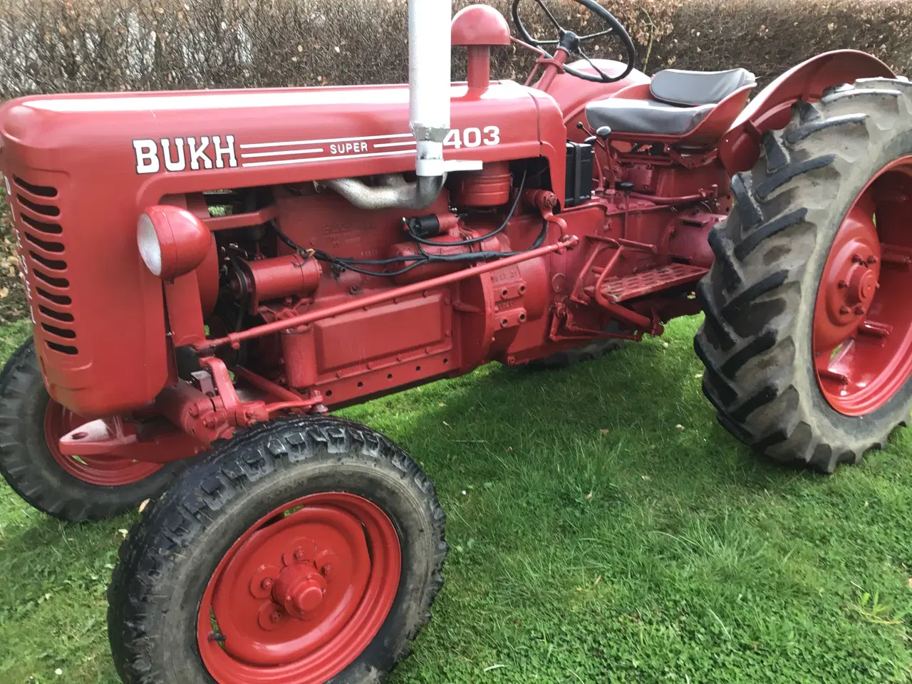 Billede 1 - Bukh 403 Super årgang 1964