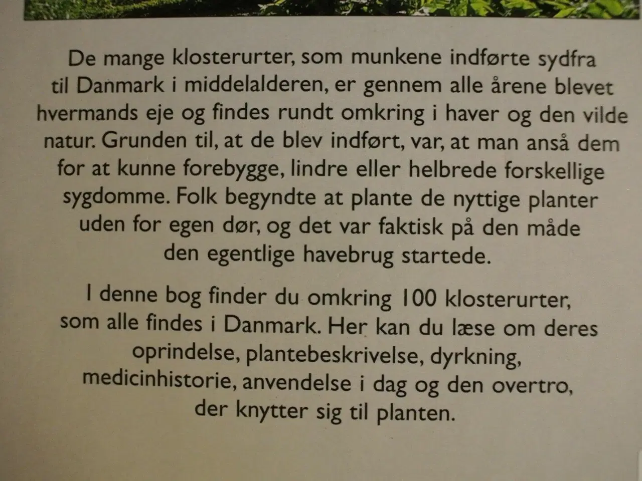 Billede 2 - danske klosterurter, af anemette olesen