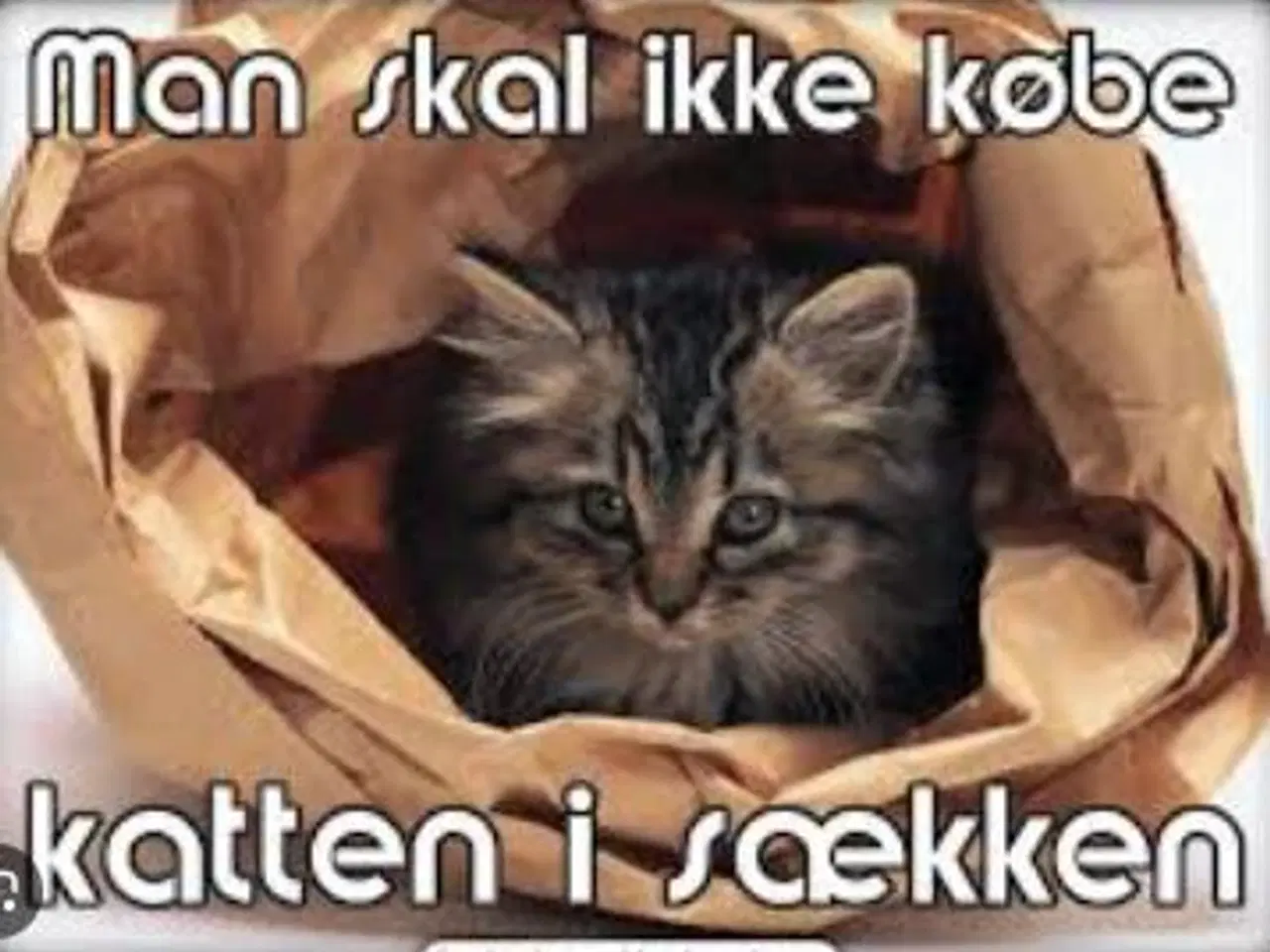 Billede 11 - Økobil: Suzuki Alto 1.0i, 22.7 km/l, 460 kr/halvår