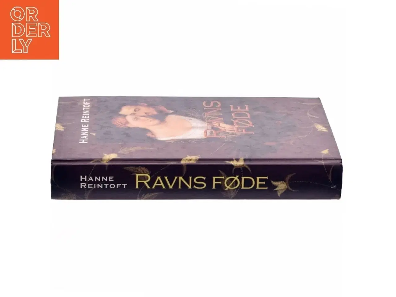 Billede 2 - Ravns føde af Hanne Reintoft (Bog)