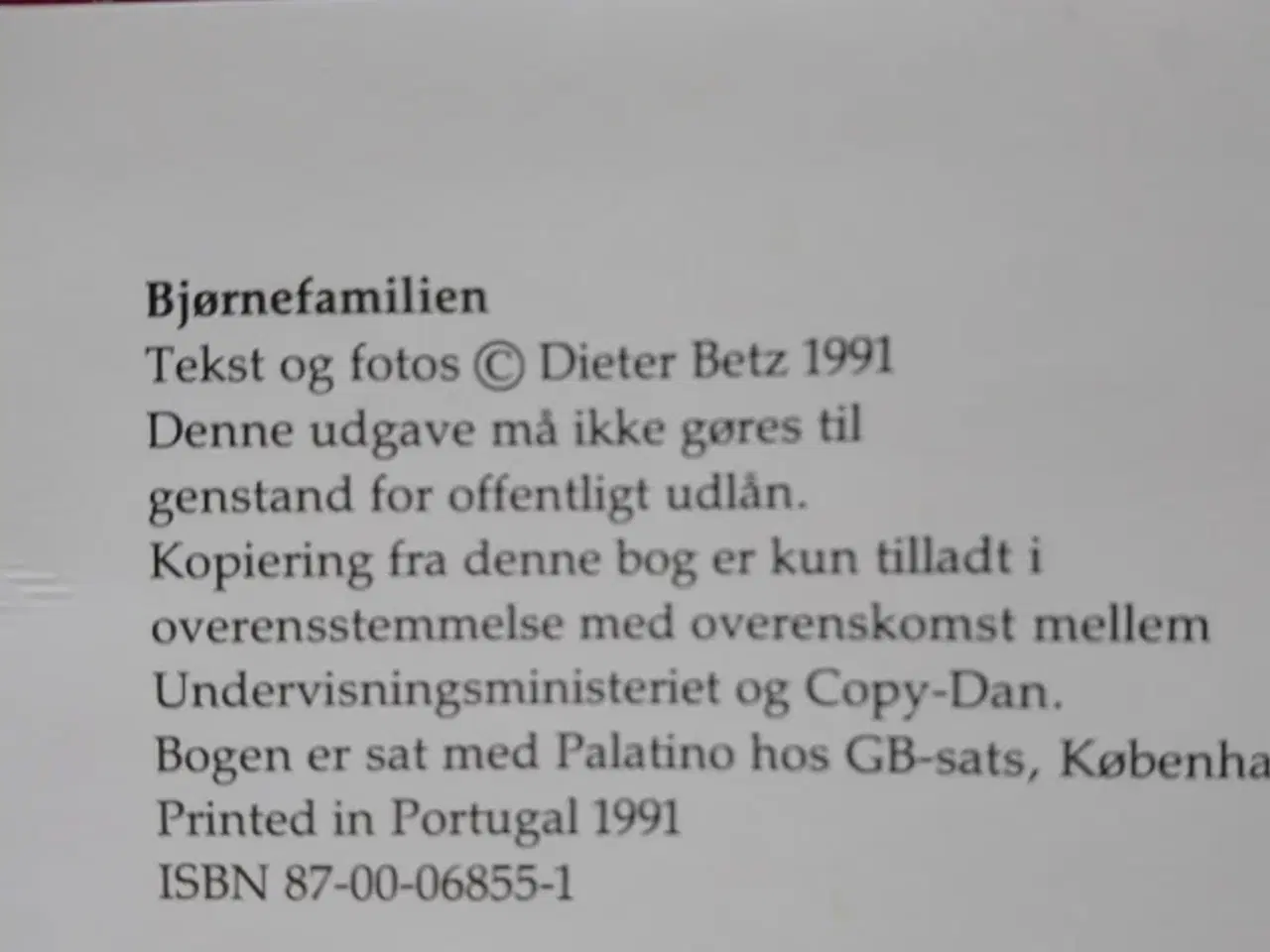 Billede 7 - Bjørnefamilien af Dieter Betz