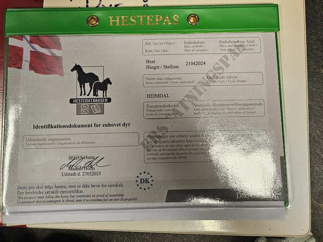 Billede 7 - Flot blanding på god størrelse