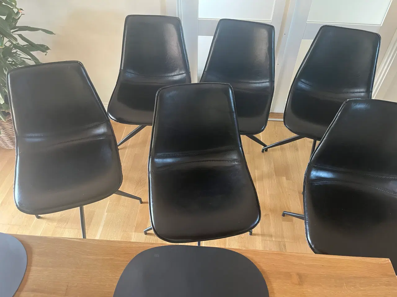 Billede 2 - 6 stk Isabella spisebordsstole