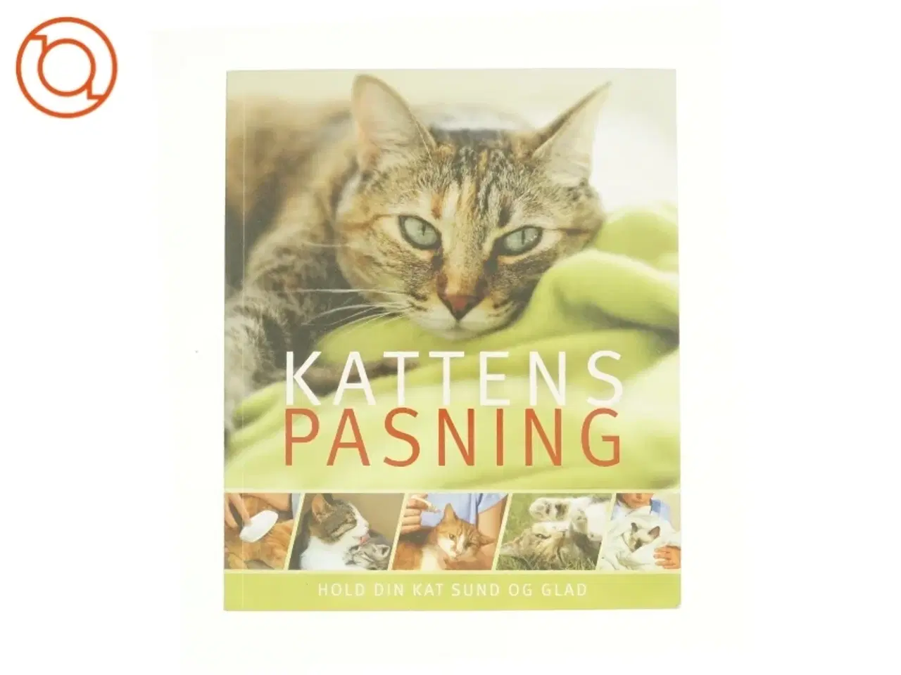 Billede 1 - Kattens pasning - Hold din kat sund og glad