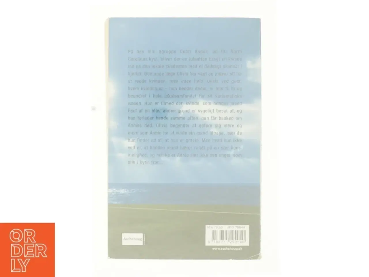 Billede 3 - Sandhedens smerte af Diane Chamberlain (Bog)