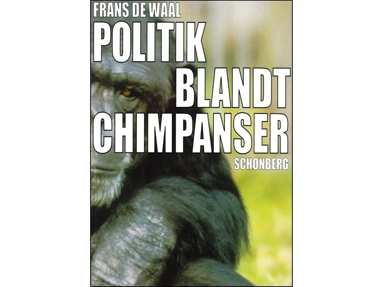 Billede 1 - Politik blandt Chimpanser