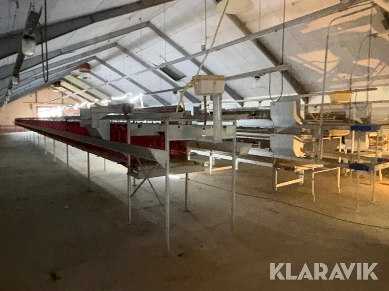 Billede 4 - Produktionslinje Big Dutchman + Landmeco æglægger system