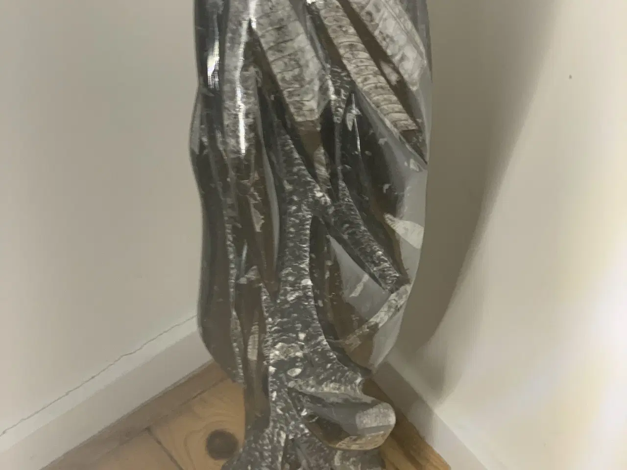 Billede 7 - Unik og meget gammel fossilsten – sjældent fund