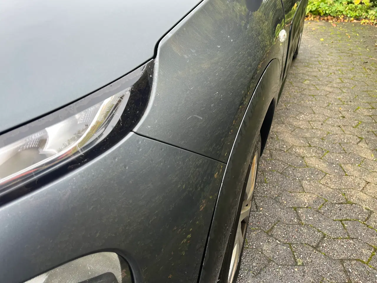 Billede 9 - Citroen C4 Cactus